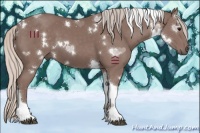 Horse Color:White Spotted Chocolate Silver Black Tobiano