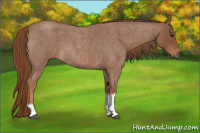 Horse Color:Red Roan Tobiano