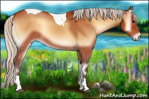 Horse Color:Silver Bay Onyx Tobiano 