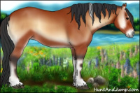 Horse Color:Bay Onyx Tobiano