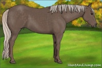 Horse Color:Silver Black