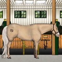 Horse Color:Silver Classic Champagne