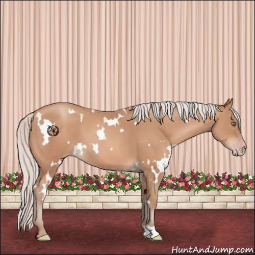 Horse Color:White Spotted Silver Amber Champagne 