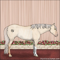 Horse Color:Silver Classic Champagne Dun Rabicano