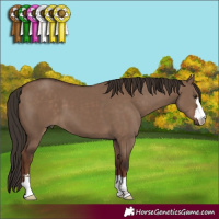 Horse Color:Liver Red Dun 