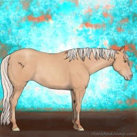 Horse Color:Silver Amber Champagne Rabicano 