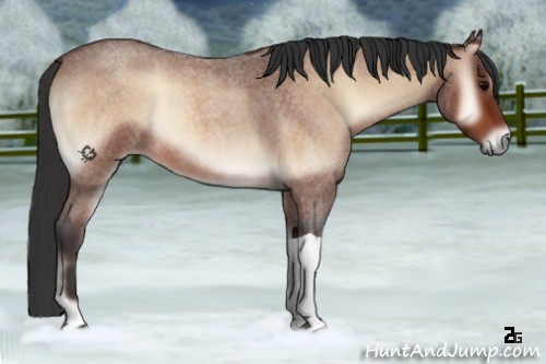Horse Color:Bay Roan Onyx Tobiano 