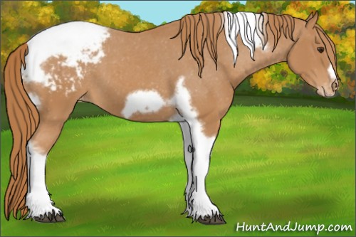 Horse Color:Chestnut Tobiano Frame Snowcap