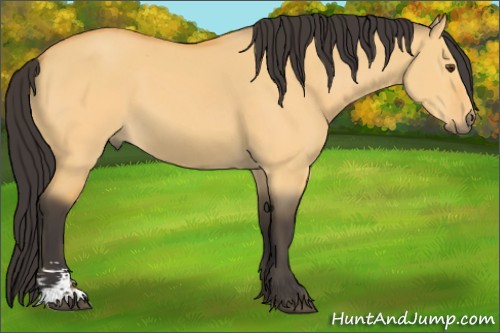 Horse Color:Buckskin Dun Sabino 