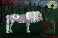 Horse Color:Watercolor White Spotted Silver Brown Dun