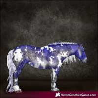 Horse Color:Watercolor White Spotted Silver Blue Onyx Chinchilla Ice