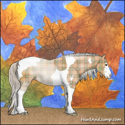 Horse Color:Plaid  Silver Bay Sabino Tobiano 