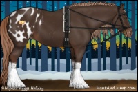 Horse Color:Liver Chestnut Tobiano Blanket