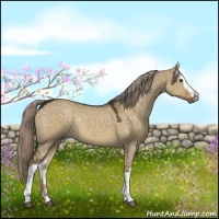 Horse Color:White Spotted Chocolate Palomino Dun 