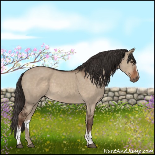 Horse Color:White Spotted Liver Red Dun Roan