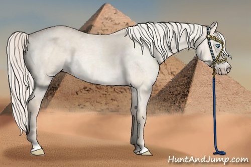 Horse Color:Cremello Dun Sabino  and Cremello Roan Dun Sabino 