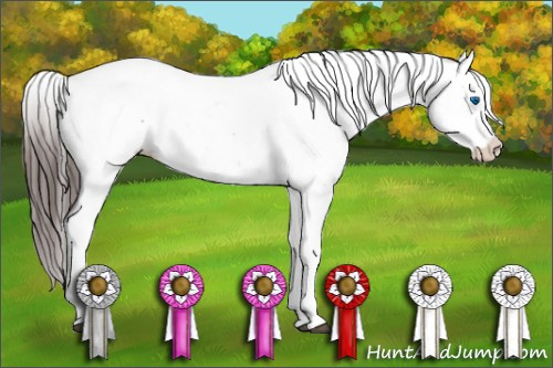 Horse Color:Bay Splash Tobiano Snowflake Varnish