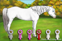 Horse Color:Bay Splash Tobiano Snowflake Varnish