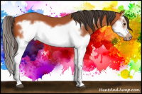 Horse Color:Bay Splash Frame 
