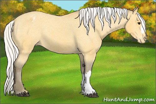 Horse Color:Silver Buckskin Varnish