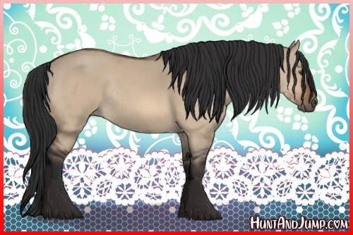 Horse Color:Bay Dun Rabicano 