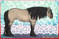 Horse Color:Bay Dun Rabicano 