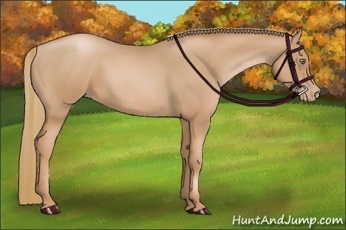 Horse Color:Chestnut Pearl 