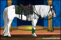 Horse Color:Black Splash Tobiano 