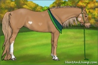 Horse Color:Chestnut Tobiano 