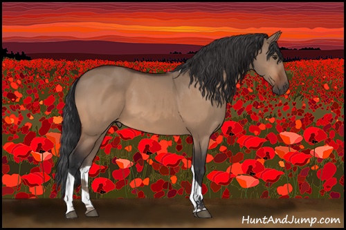 Horse Color:Bay Dun Tobiano 