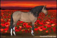 Horse Color:Bay Dun Tobiano 