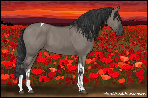 Horse Color:Grullo Tobiano 