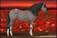 Horse Color:Grullo Tobiano