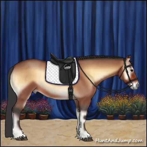 Horse Color:Bay Roan Onyx 