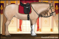 Horse Color:Bay Roan Pearl 