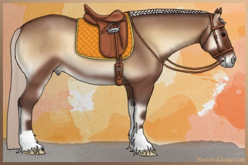 Horse Color:Silver Blue Onyx Roan 