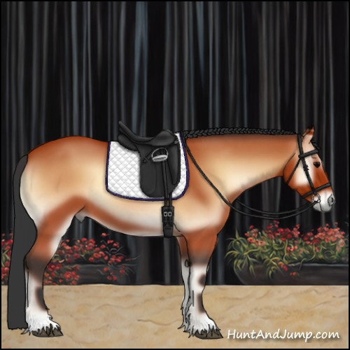 Horse Color:Bay Onyx 