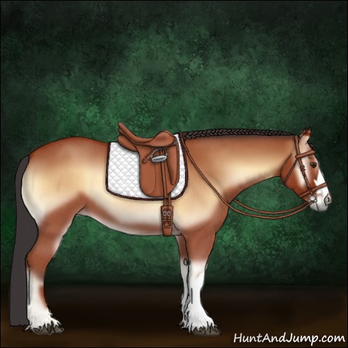 Horse Color:Bay Roan Onyx 