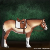 Horse Color:Bay Roan Onyx 