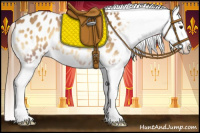 Horse Color:Red Onyx Splash Appaloosa 