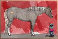 Horse Color:Silver Blue Roan Tobiano Frame 