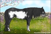 Horse Color:Black Frame