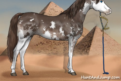 Horse Color:White Spotted Liver Chestnut Splash 