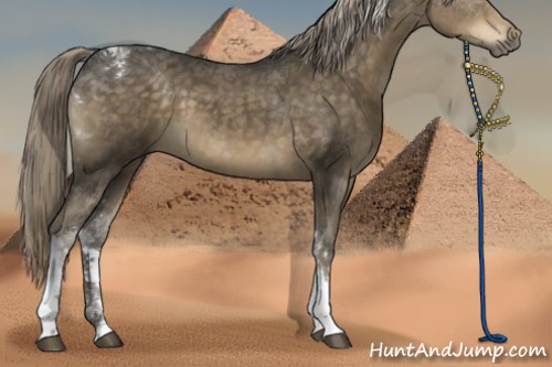Horse Color:Chocolate Palomino Tobiano
