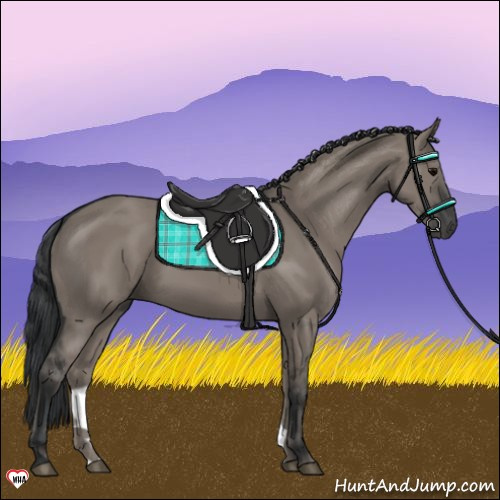 Horse Color:Grullo 