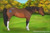 Horse Color:Brown 