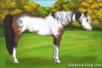 Horse Color:Brown Frame 