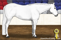 Horse Color:Gray Smoky Black 