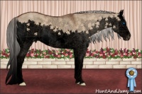 Horse Color:Void Silver Bay Dun Splash 