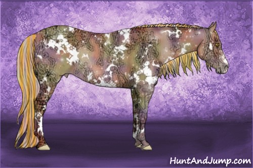 Horse Color:Painted Nacre White Spotted Silver Amber Champagne Ice Rabicano 